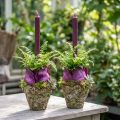 Pflanztopf rustikal Wald Optik Übertopf Ø12,5cm H12cm 2St | Floristik24.de