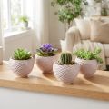 Kleine Keramikschalen in Rosa Spiral Dekor Ø9cm 4St | Floristik24.de