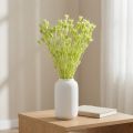 Trockenblumen Nigella bezaubernd natürliche Raumdekoration für zu Hause 70cm 50g | Floristik24.de