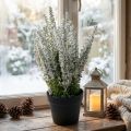 Erika Weiß Heidekraut Besenheide Kunstpflanze H26cm | Floristik24.de