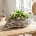 Pflanzschiffchen Pflanzwelle Rattan Natur Weiß 45x16cm | Floristik24.de