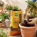 FRUX Kübel-Erde und Zitruspflanzenerde 18l | Floristik24.de