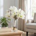 Magnolienbund Weiß 40cm 5 St | Floristik24.de