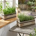 Kräuterkiste als Set aus Holz 41x21x17/36,5x19x13cm | Floristik24.de