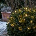 Lichternetz außen Buchsbaum Lichterkette 60 LED Ø35cm | Floristik24.de