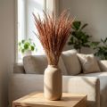 Rotes Straußgras Agrostis Trockengräser Rotbraun 65cm 80g | Floristik24.de