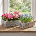 Pflanzkasten Holz Rechteckig Holzkiste Geweißt 32x17/25x13cm 2er-Set | Floristik24.de