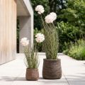 Kunstblumen Deko Kugelblume Allium Zierlauch künstlich 54cm | Floristik24.de