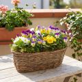 Pflanzkorb Korb Oval Rebe Natur Pflanzschale L30cm | Floristik24.de