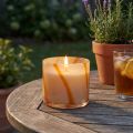 Duftkerze im Glas Citronella Kerze Retro Design Ø8cm H8cm | Floristik24.de
