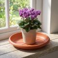 Untersetzer „Linda" Ø18cm Terrakotta | Floristik24.de