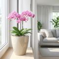 Orchideentopf glänzend Ø12,5cm Sand 1 St | Floristik24.de