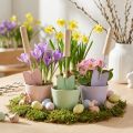 Deko Schaufeln bunt sortiert 14cm 9St | Floristik24.de