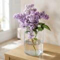 Glasvase klar Zylindrisch Ø12cm H20cm | Floristik24.de