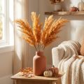 Künstliches Pampasgras Orange Trockengräser 35cm 4St | Floristik24.de