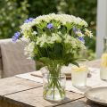 Dill blühend, Künstliche Kräuter, Dekopflanze Grün, Weiß 49cm 9St | Floristik24.de