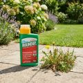 Roundup Unkrautfrei Express Unkrautmittel Konzentrat 400ml | Floristik24.de