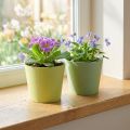 Papiergefäß, Mini-Pflanztopf, Übertopf Blau/Grün Ø9cm H7,5cm 4St | Floristik24.de