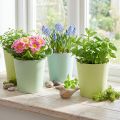 Topf aus Papier, Übertopf, Pflanzgefäß Blau/Grün Ø11cm H10cm 4St | Floristik24.de