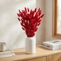 Hasenschwanzgras Lagurus Getrocknet Rot 60cm 50g Trockenblumen Deko | Floristik24.de