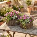 Pflanzkasten Blumentopf Holz Rinde L23/29,5cm 2er-Set | Floristik24.de