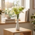 Künstliche Orchideen Kunstblumen in Vase Weiß/Grün 28cm | Floristik24.de