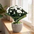 Kalanchoe künstlich Flammendes Käthchen Weiß 24cm | Floristik24.de