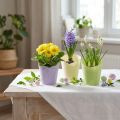 Pflanztopf gewebt Übertopf Papier Grün, Gelb, Lila Ø7cm H13cm 12St | Floristik24.de