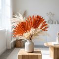 Palmspear Sun Orange 30 St | Floristik24.de