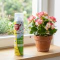 Protect Home Natria Ungeziefer Frostspray Insektizidfrei 300ml | Floristik24.de