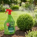 Protect Garden Lizetan Buchsbaumzünslerfrei AF 1000ml | Floristik24.de