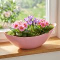 Pflanzschiffchen Kunststoff Blumenschale Pink 28×9×9cm 3St | Floristik24.de