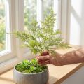 Künstlicher Farn Kunstpflanze in Grün Beflockt L45cm | Floristik24.de
