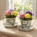 Deko Tasse Metall Weiß gewaschen Antik Ø9cm H8cm 2St | Floristik24.de