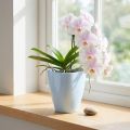 Orchideentopf glänzend Ø12,5cm Weiß 1 St | Floristik24.de