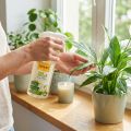 Seramis Bio Vitalspray für Pflanzen & Kräuter 500ml | Floristik24.de