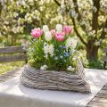 Pflanzherz Pflanzschale Rattan Herz Weiß Natur 28x34cm | Floristik24.de