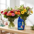 Chrysal Professional 2 Transport & Display Frischhaltemittel 1 Liter | Floristik24.de