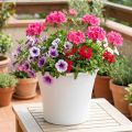 Plastik Topf „Irys“ Weiß Ø22cm H18cm 1 St | Floristik24.de