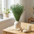 Trockengras Getrockneter Flachs Grün 50–55cm Deko DIY | Floristik24.de