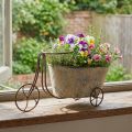 Pflanzfahrrad Blumentopf
