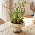 Deko Schale Keramik mit Sockel Creme Graugrün Ø17cm 10cm | Floristik24.de