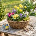 Blumenschale Natur Dekoschale Reben 31cm rustikal, Pflanzgefäß | Floristik24.de