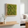 Moos künstlich Moosmatte – Perfekt für Moosbild Hellgrün 25×25cm | Floristik24.de