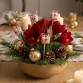 Blumenstecker Weihnachten Geschenkpäckchen Deko 2,5cm 15 St | Floristik24.de