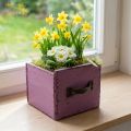 Pflanzschublade Holz Deko Pflanzkasten Lila 12,5cm | Floristik24.de