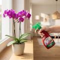 Chrysal Orchideen Vital Spray Sprühlösung 500ml | Floristik24.de