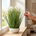 Deko Gras mit Cosmea-Blüten in Schale H45cm | Floristik24.de