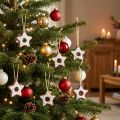 Christbaumschmuck Zimtsterne Deko Stern Kunststoff 5cm Traditionell Weihnachtsdeko 24 Stück Set | Floristik24.de