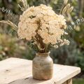 Schafgarbe künstlich Creme Achillea Kunstblumen 30cm 6 St | Floristik24.de